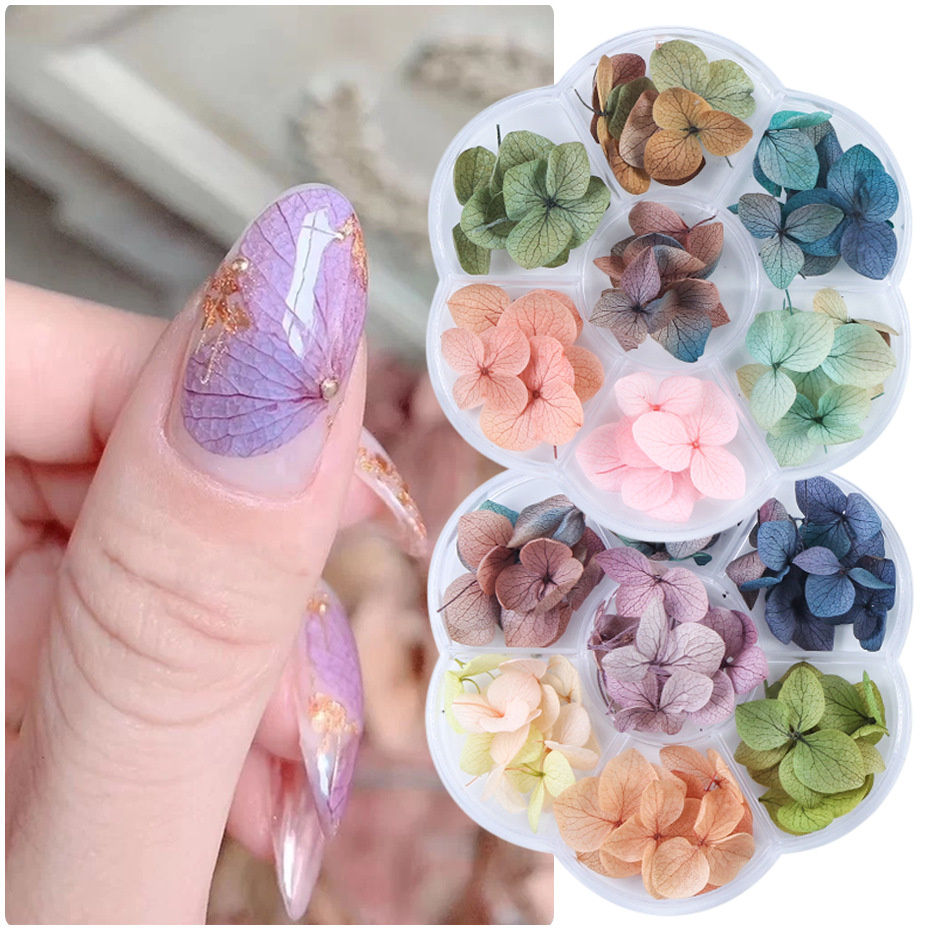 Colorum Nail Flores arefacti